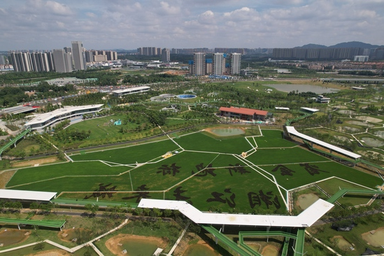 DJI_0133.JPG
