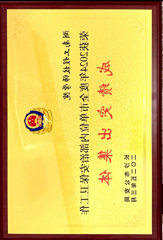 20250610长沙市公安局-2024年度全市单元外部治安保卫任务成就凸起个人.jpg